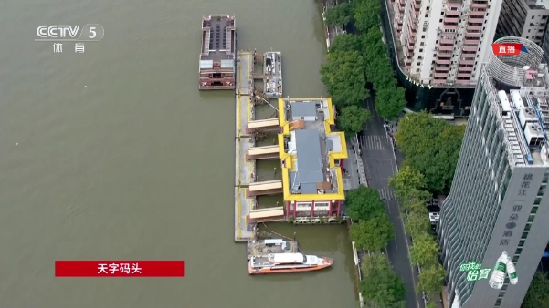 欧歌cat电视版-图2