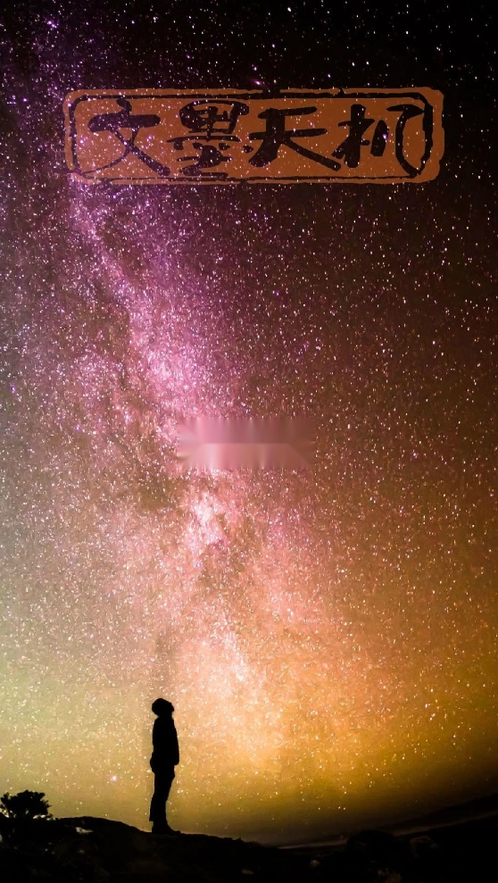 文墨天机专业版