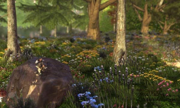Wilderless无广告版(4)