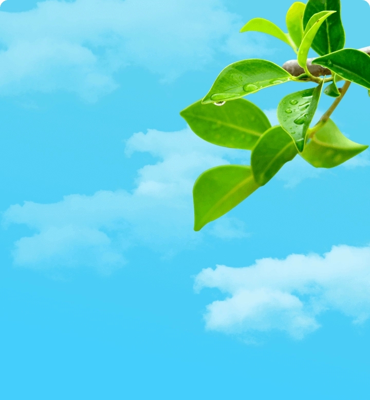 天天壁纸官方正版