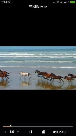 金狮播放器安卓版图1