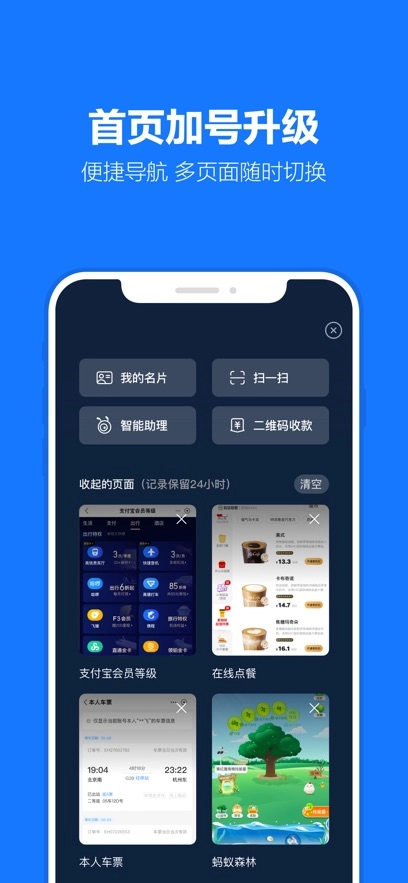 支付宝(1)