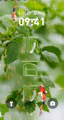 快闪壁纸最新版-图2