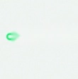 MusicFree中文版