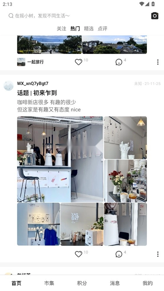 摇小树图4