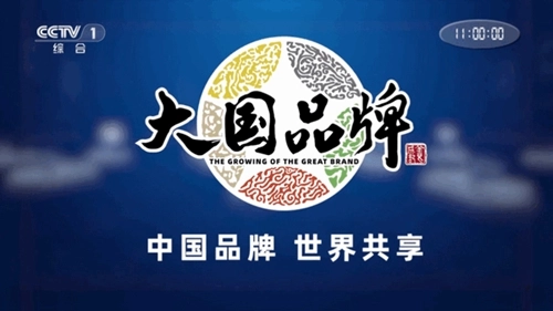 悠悠电视手机版图2