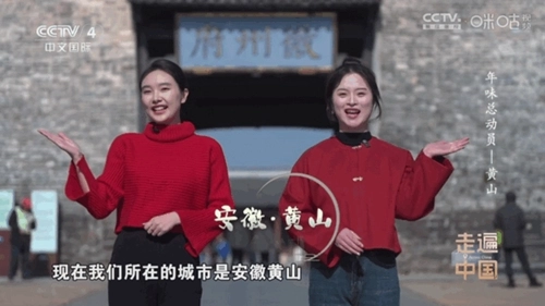 悠悠电视手机版图1