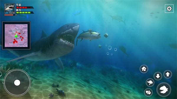 饥饿鲨鱼求生-图2