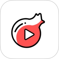 追梦视频安卓版