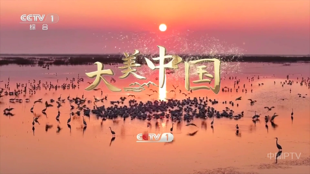 晨瑞电视最新版2