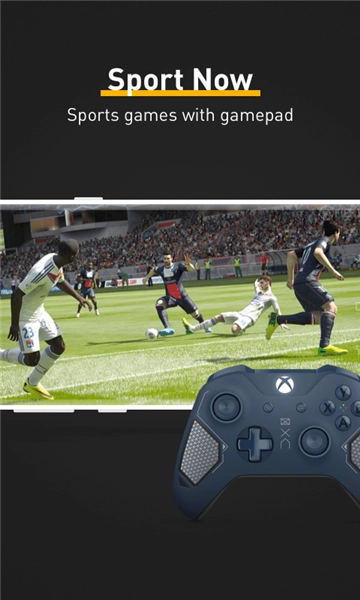 熊猫映射2026最新版图2