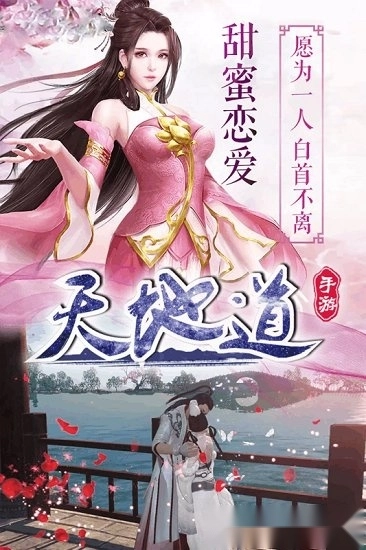 天地道游戏安卓版
