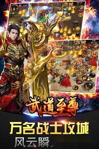 武道至尊游戏安卓版图3