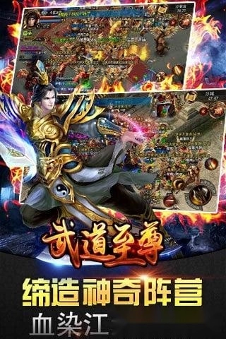 武道至尊游戏安卓版图4