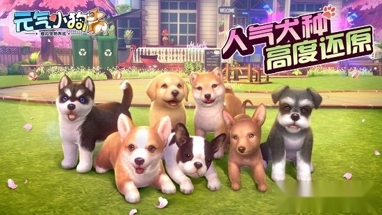 元气小狗安卓版