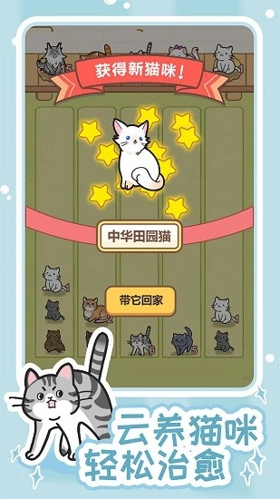 解压猫咪安卓版