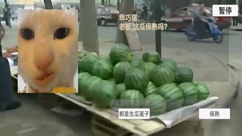 猫猫惊魂夜游戏4