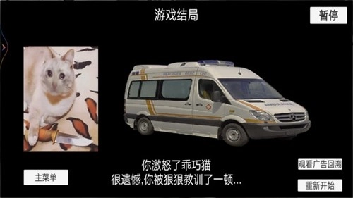 猫猫惊魂夜游戏3