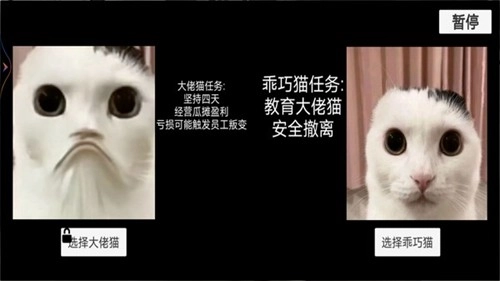 猫猫惊魂夜游戏1