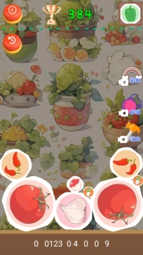 蔬菜休闲合成截图3
