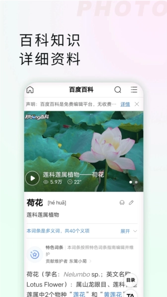 星密