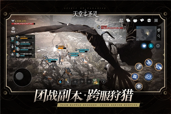 天堂之圣灵安卓直装版图2