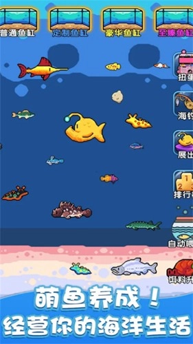 快来养鱼图3
