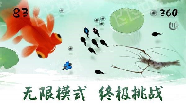鱼戏荷塘安卓版图4