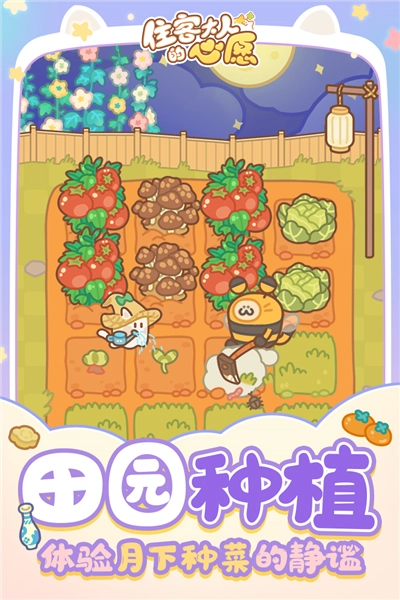 住客大人的心愿老版截图1