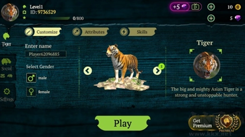 老虎模拟器最新版图2