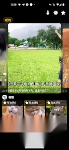 小鸭短剧安卓版(1)