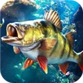 欢乐钓鱼大师手机版