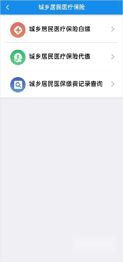 湖北税务最新版3