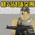 战场突围精英手游版