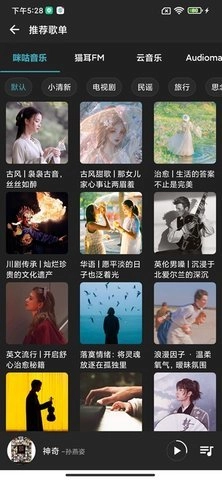 刺桐音乐安装最新版(3)