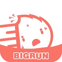 bigrun官方正版