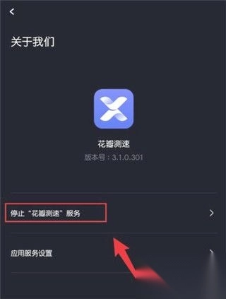 花瓣测速最新版(2)