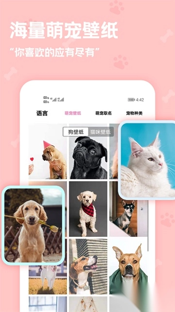 动物语言翻译器-图1