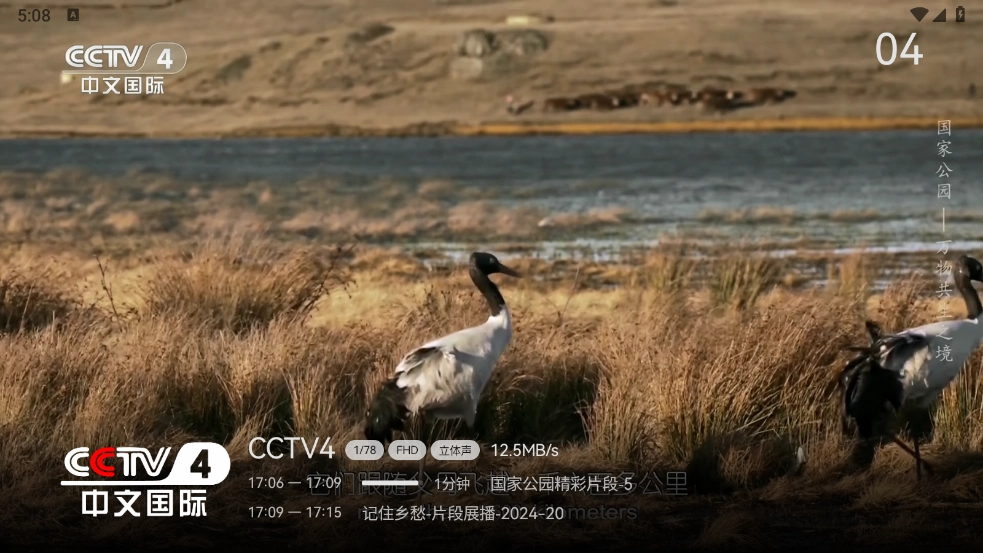 云畅来福TV版-图2