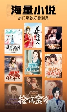 洋葱免费小说-图5