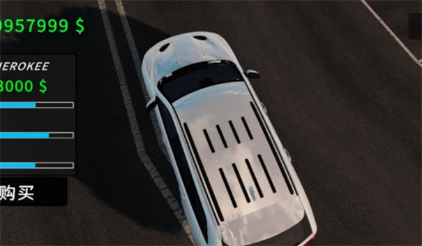 真实汽车驾驶手游无广告版图2