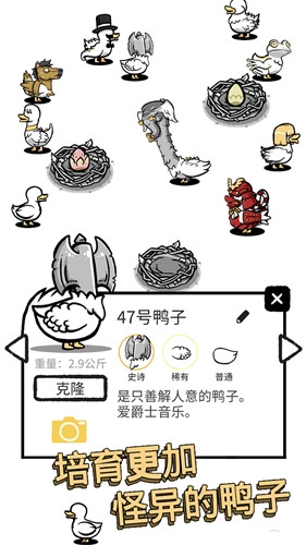 奇怪的鸭子2无广告(1)
