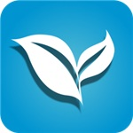 叶子tv盒子版