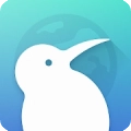kiwibrowser浏览器最新版