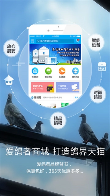 爱鸽者3