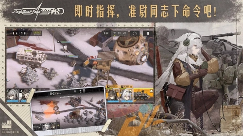 雪松(2)
