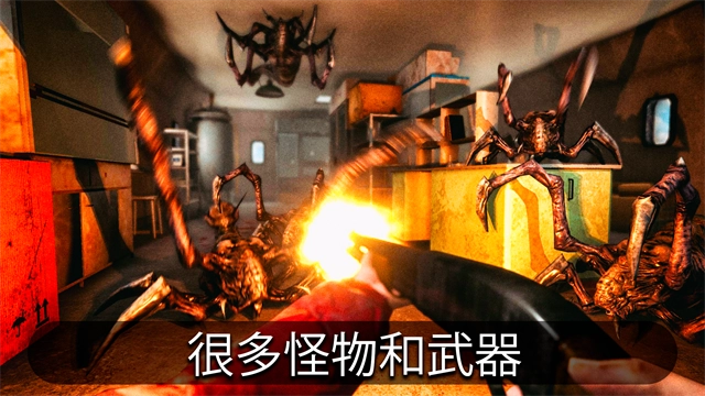 南极洲88号图2