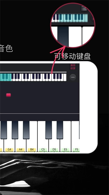 钢琴键盘截图2