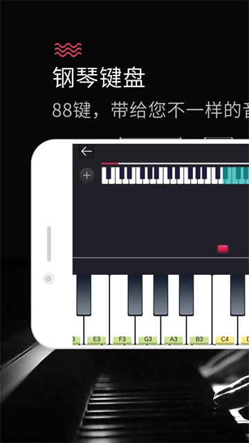 钢琴键盘截图1