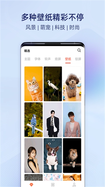 vivo主题商店(4)